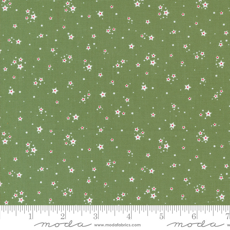  Starberry Stardust Green 
