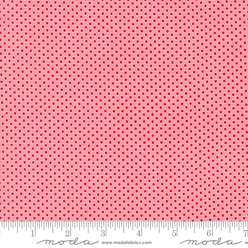  Kitty Christmas Polka Dots Cheeky 