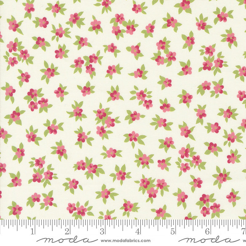  Chelsea Garden Tea Rose Porcelain Rose 