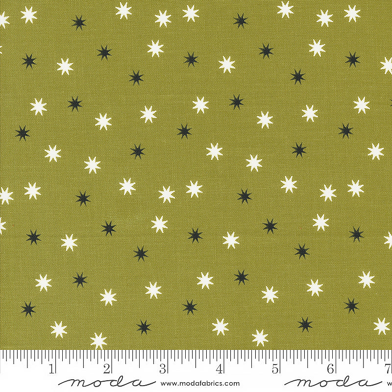  Hey Boo Magic Stars Witchy Green 