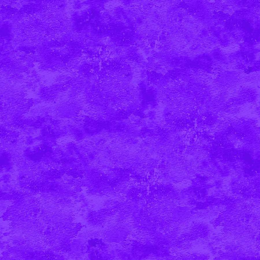  Toscana African Violet 