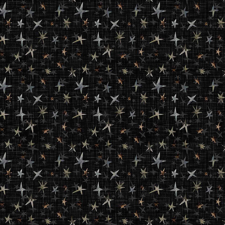  Winter Dreams Stars Black 