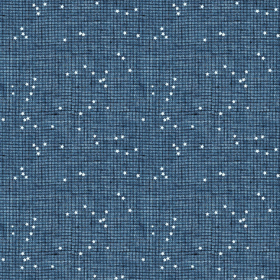  Stash Check Blue 