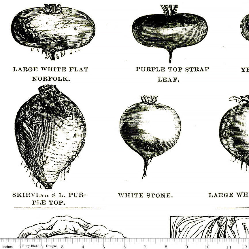  Pumpkin Patch Vintage Veggies Black 