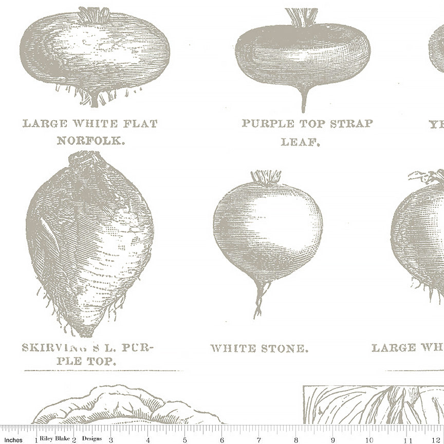  Pumpkin Patch Vintage Veggies Gray 