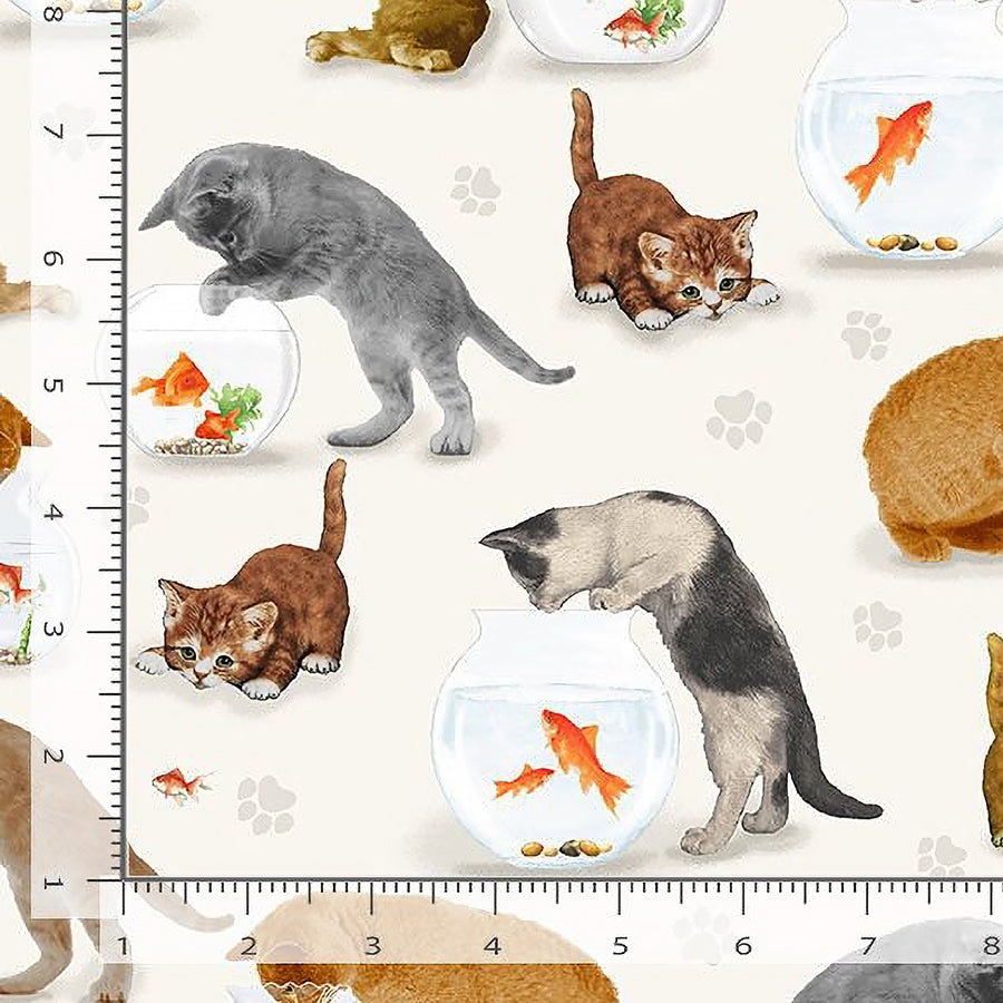  Quirky Cats Cats and Fish Bowl Cream 