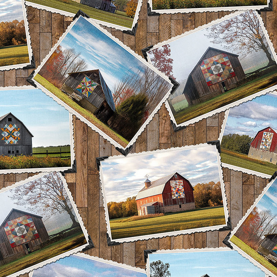  Barn Quilts Barn Blocks Brown Multi 