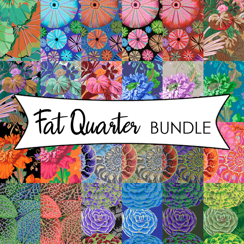  Kaffe Fassett Collective Fall 2024 Fat Quarter Bundle 