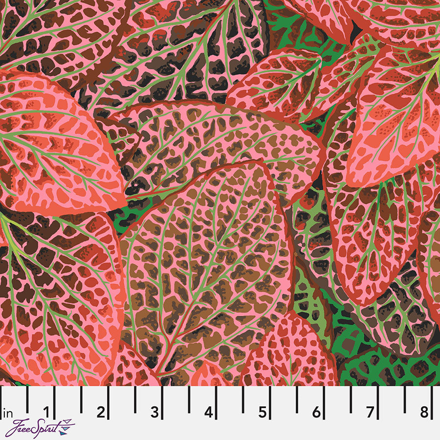 Kaffe Fassett Collective Fittonia Red 