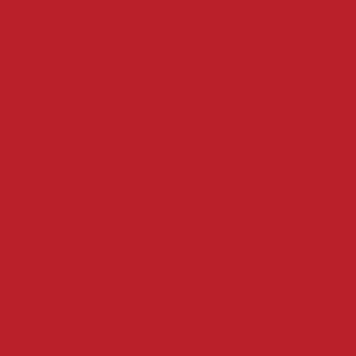  Pure Elements Ruby 