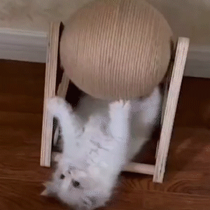 Gato arranhando bola brinquedo gatinho sisal corda bola trituramento pata brinquedos gatos scratcher resistente a mobiliário de móveis para animais de estimação - aliexpress