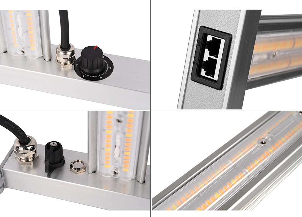 Luces LED de cultivo para plantas de interior