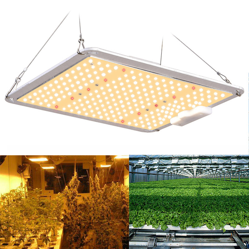 led grow lights for indoor plants