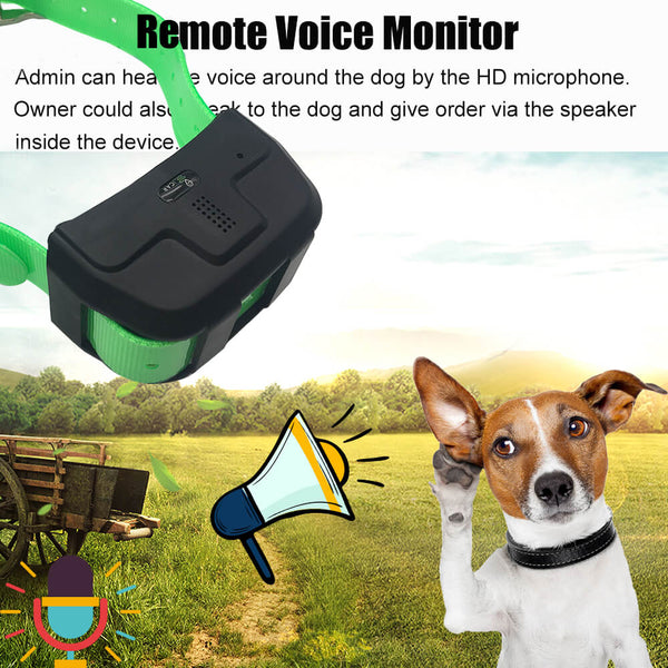 gps voice monitor