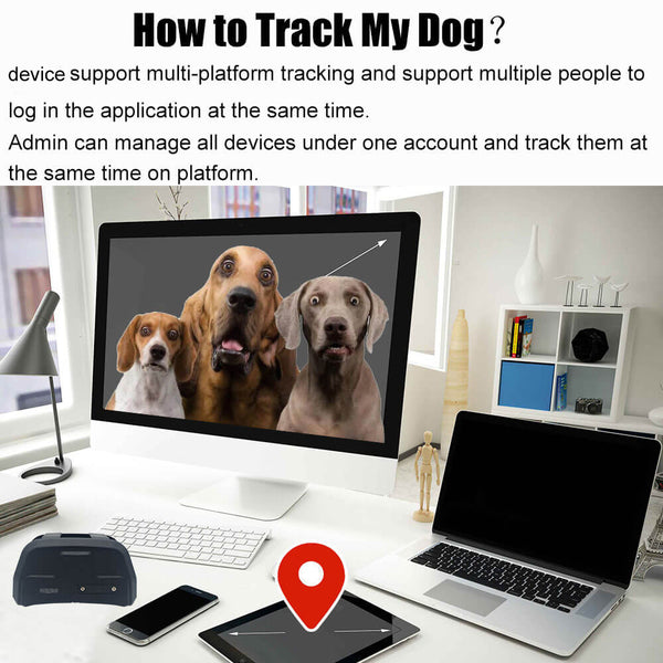 How to track dog by IK122 PRO?