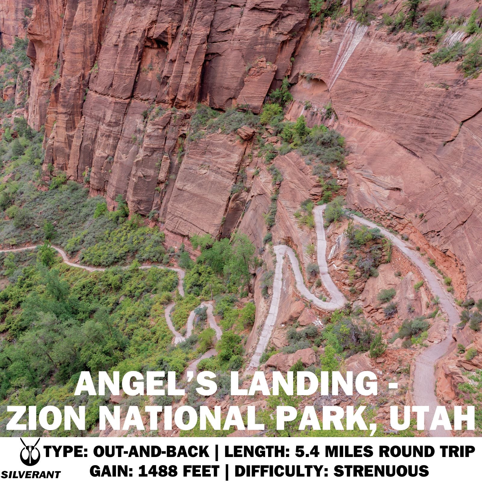 Angel’s Landing - Zion National Park, Utah - SilverAnt Outdoors