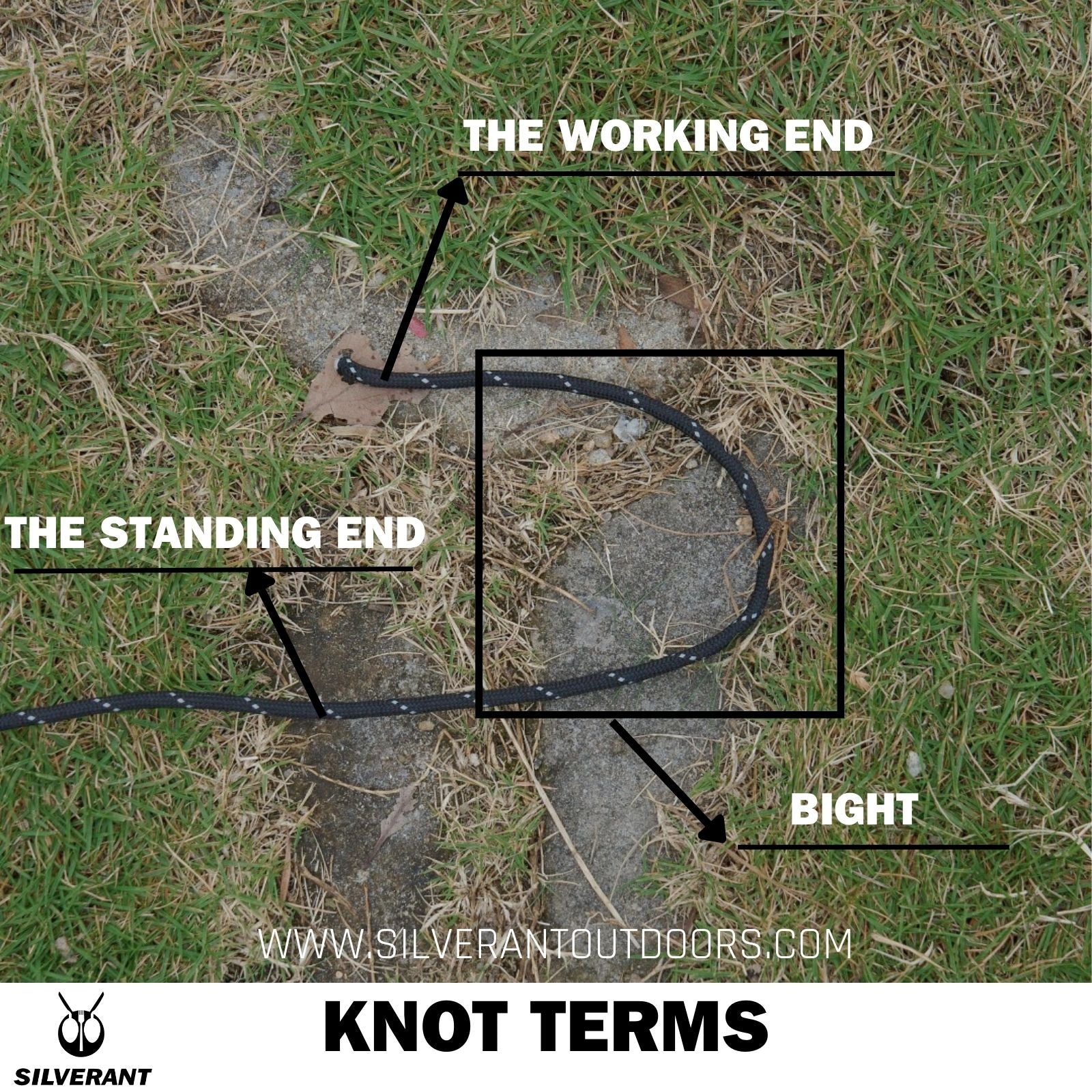 Knots 101: Essential Knots Every Outdoor Enthusiast Should Know