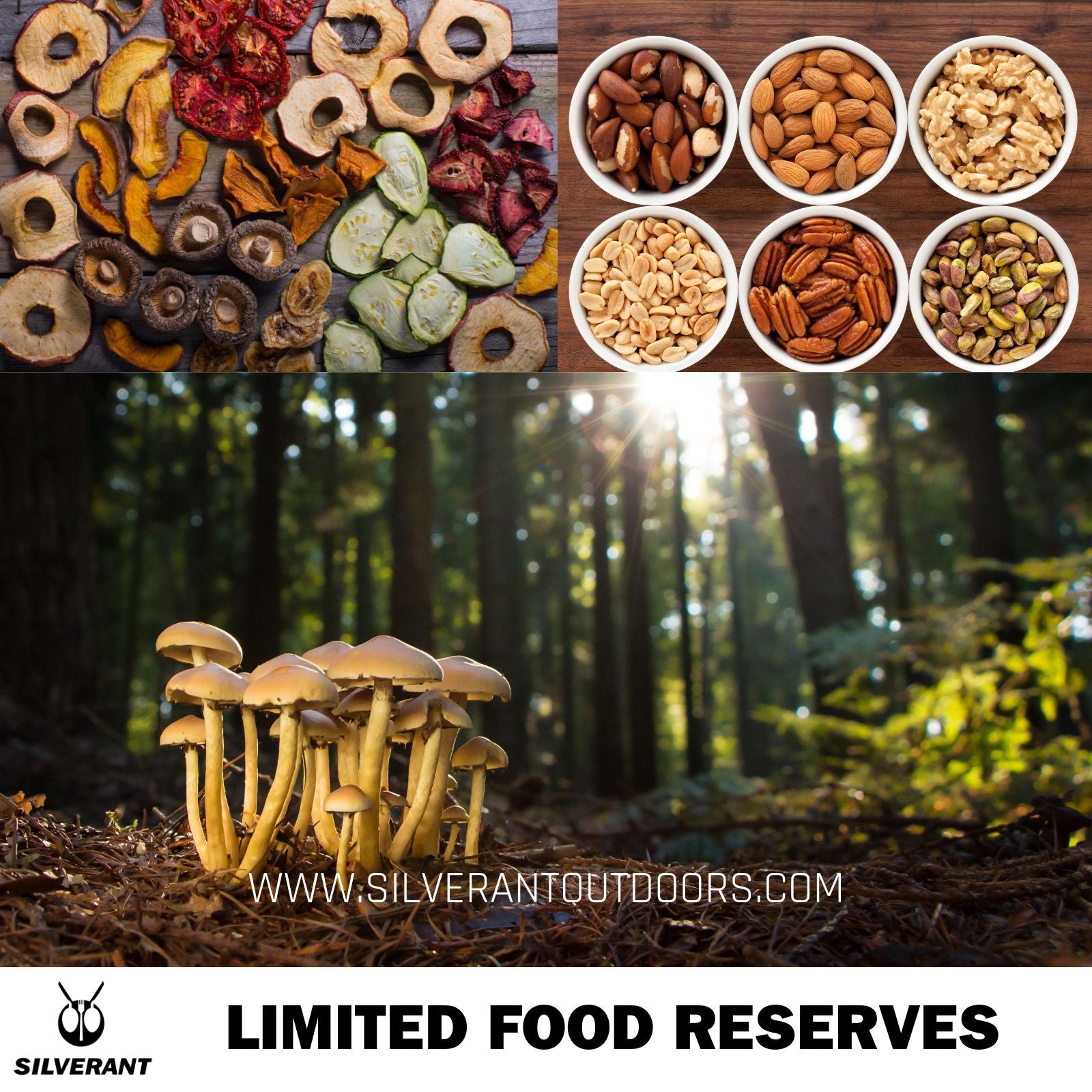 Limited Food Reserves