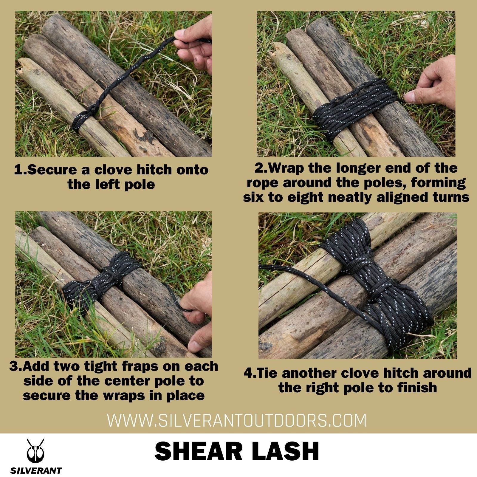 Shear Lash