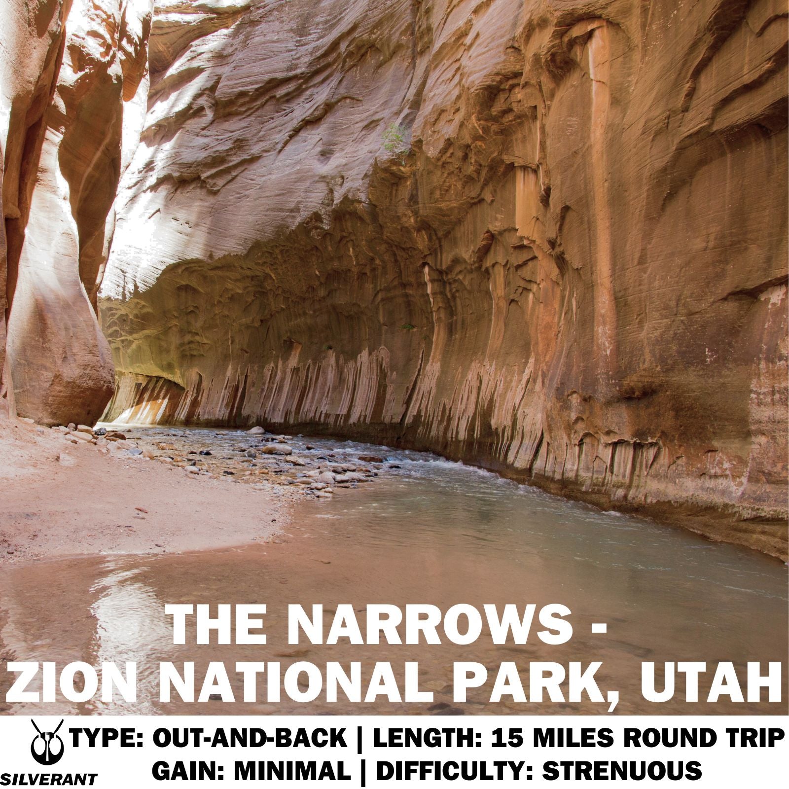 The Narrows - Zion National Park, Utah - SilverAnt Outdoors