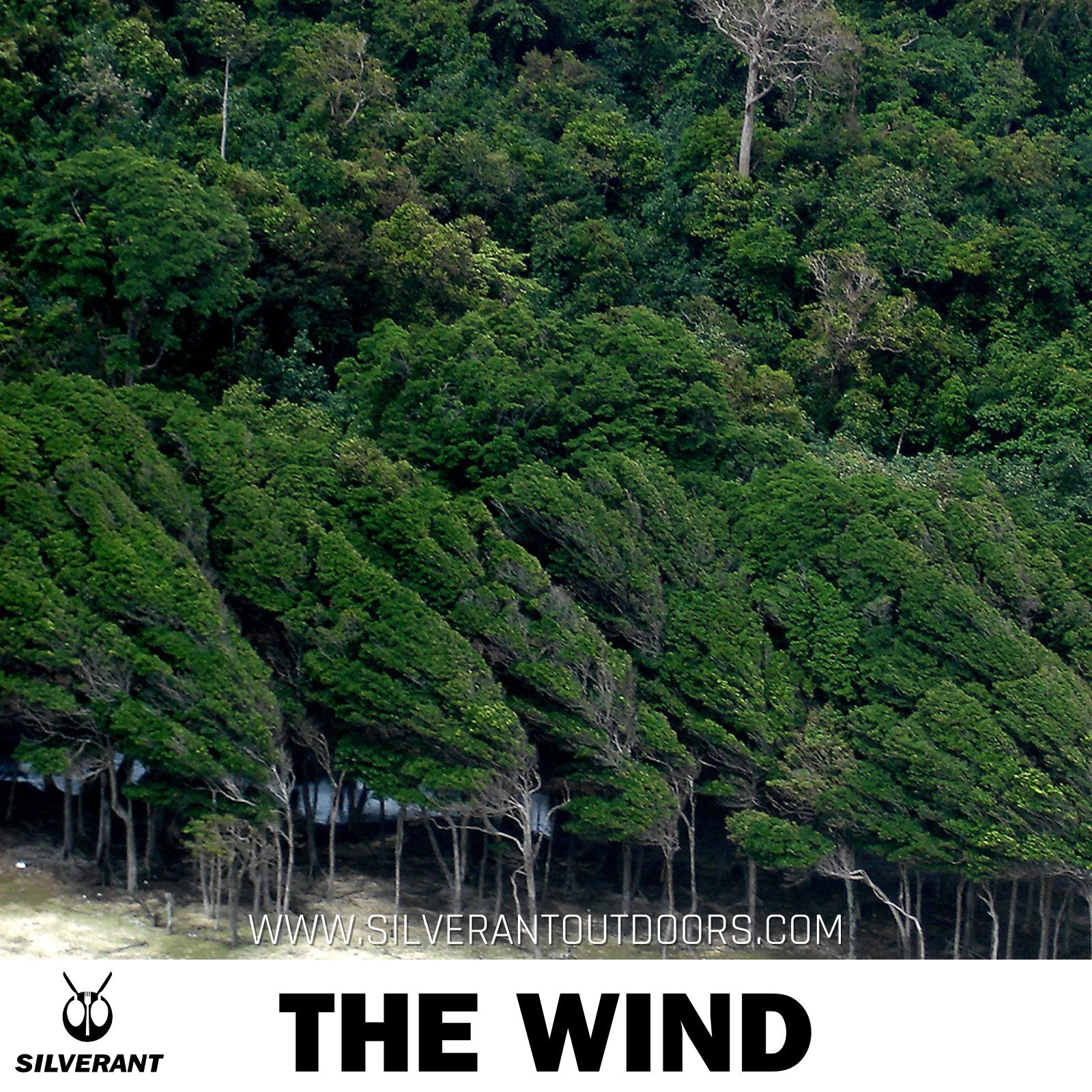The Wind - SilverAnt Outdoors