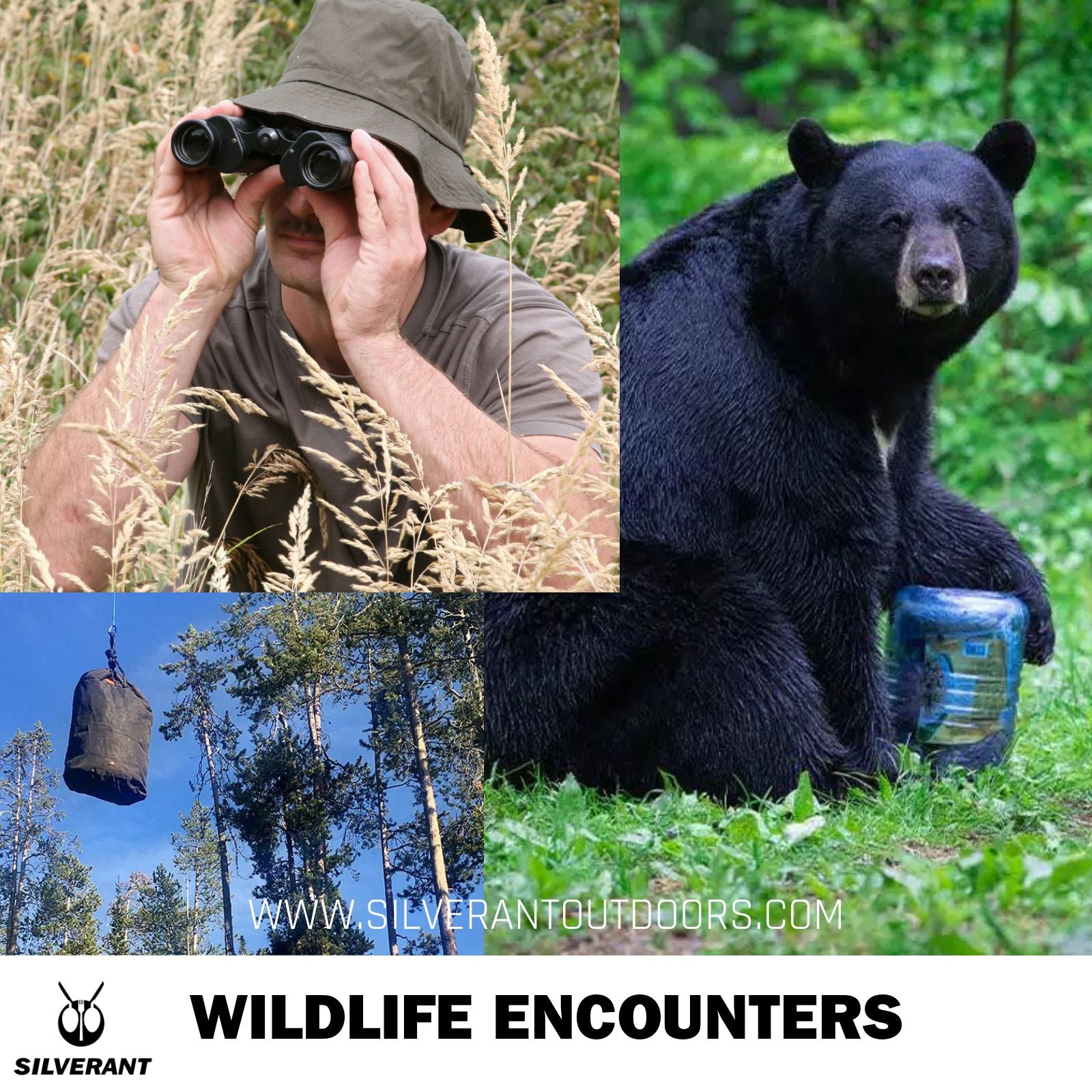 Wildlife Encounters