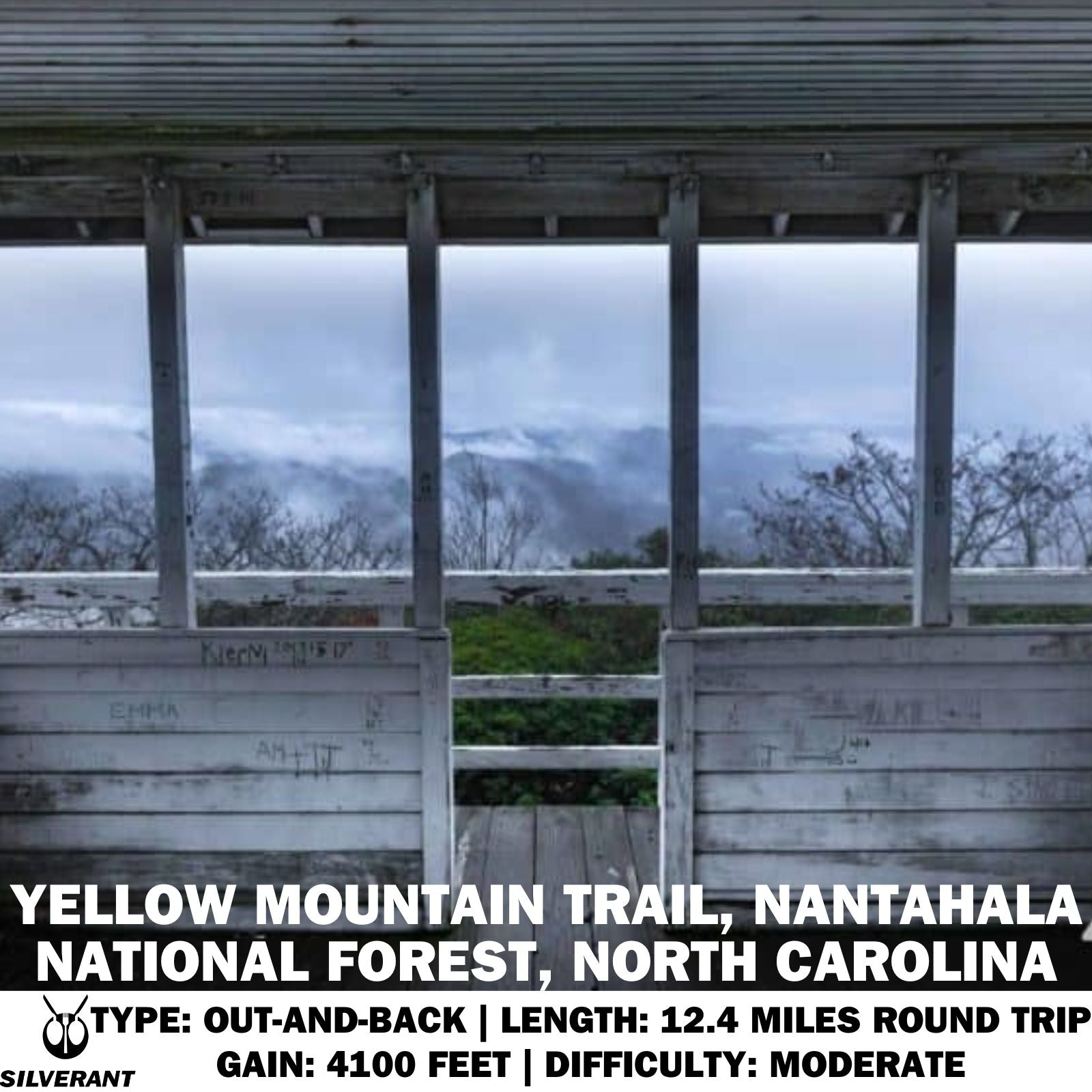 Yellow Mountain Trail, Nantahala National Forest, North Carolina - SilverAnt Outdoors