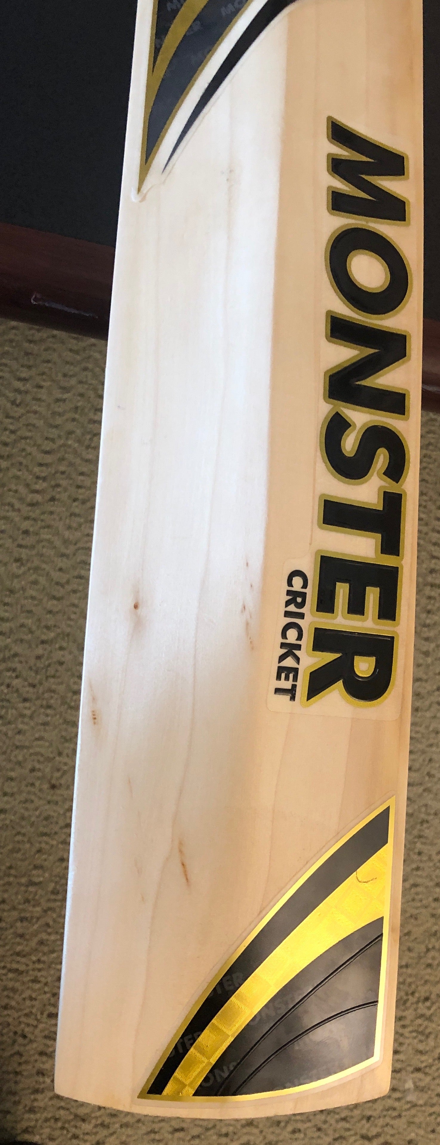 Monster Cricket Player Edition 3