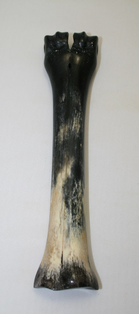 NB601AYA5 Wildebeest Bone