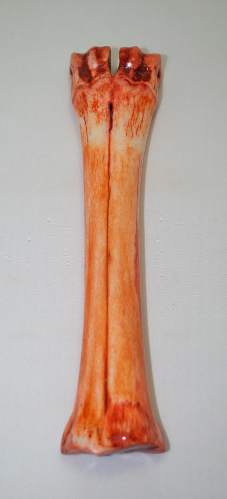 NB601F11 Wildebeest Bone