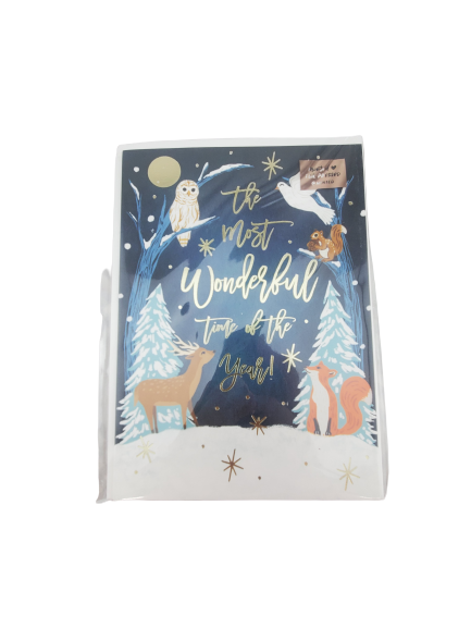 Minted Winter Night Christmas Card