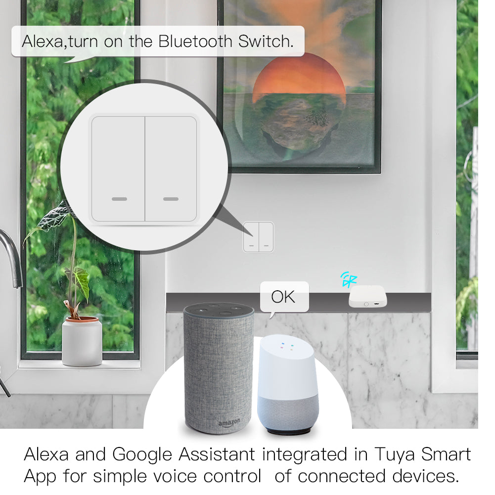 alexa and google assistant integrated in tuya smart app for simple voive control of connected devices
