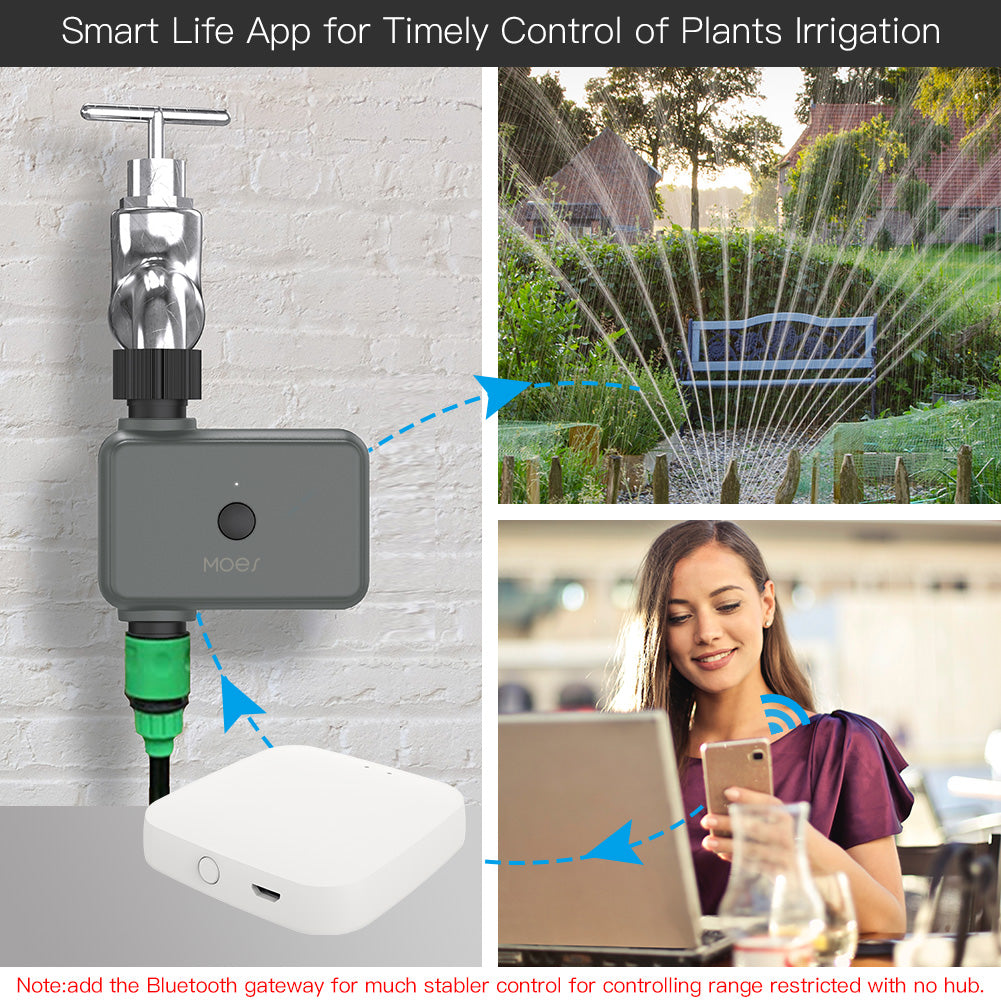 Smart Life App for Timely Control of Plants Irrigation