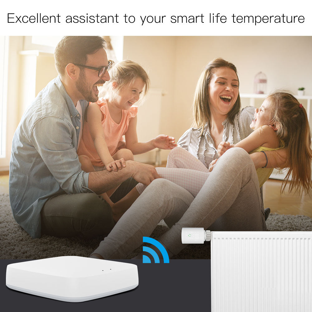 Excellent assistant to your smart life temperature