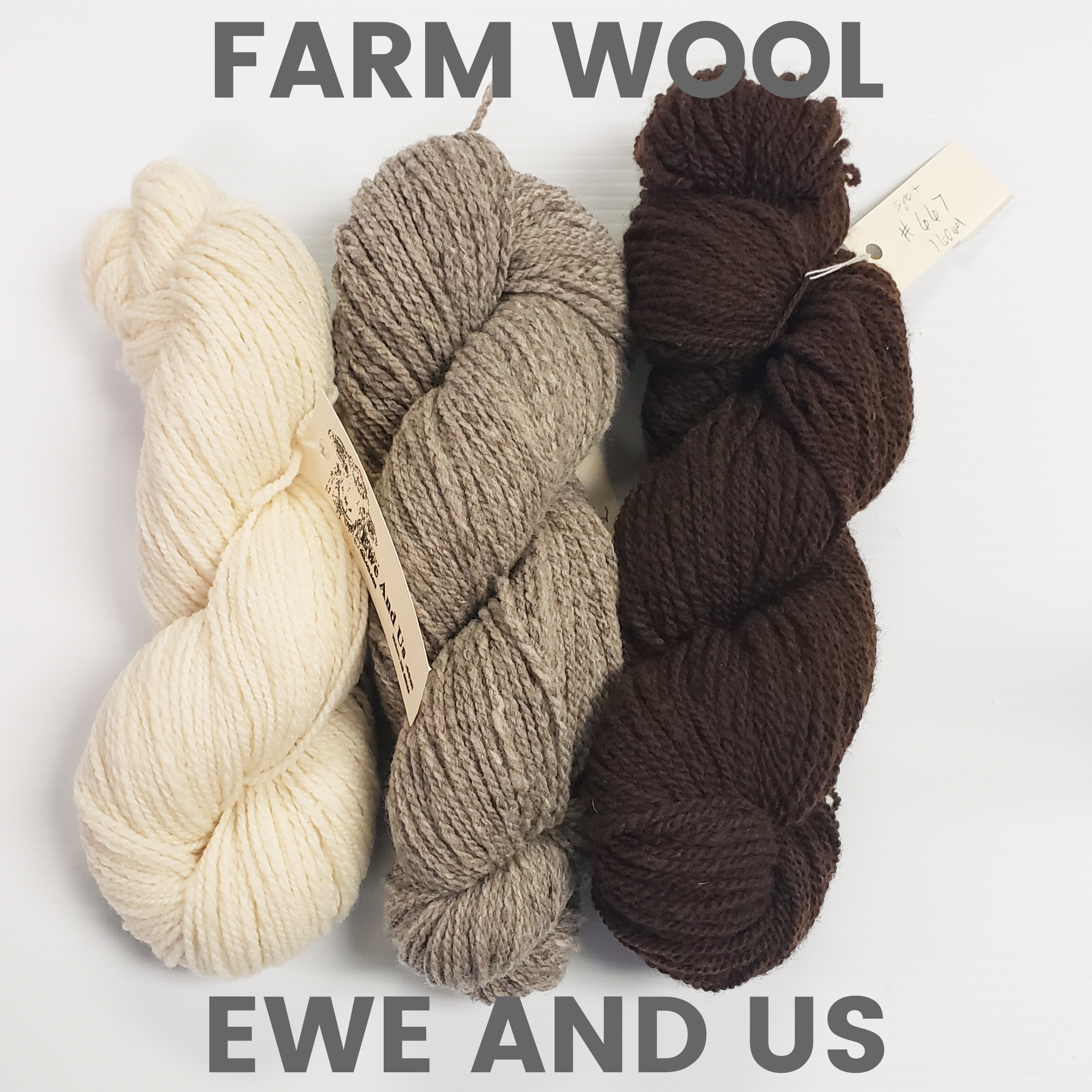 Ewe and Us Farm Wool