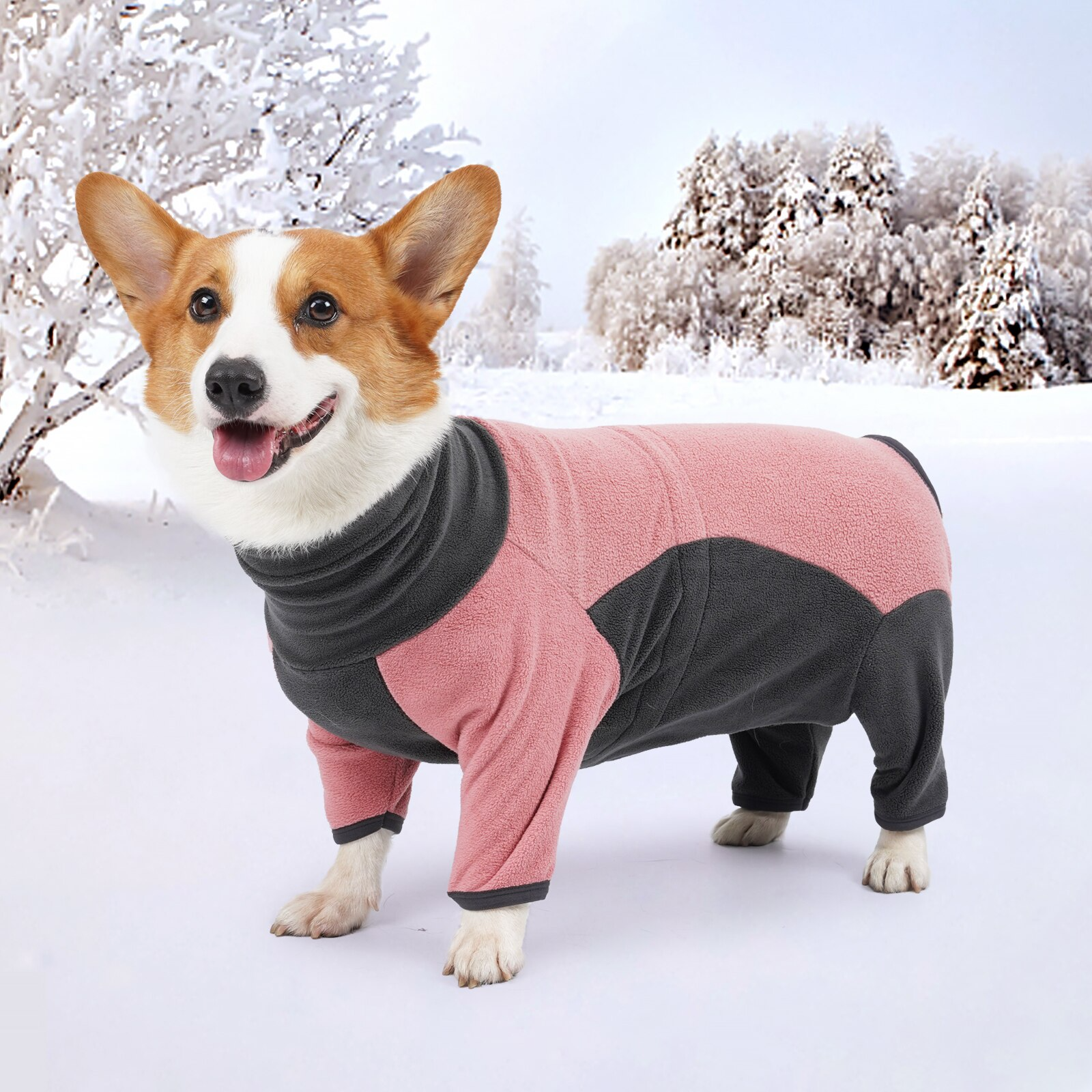 Warm Winter Dog Hoodie