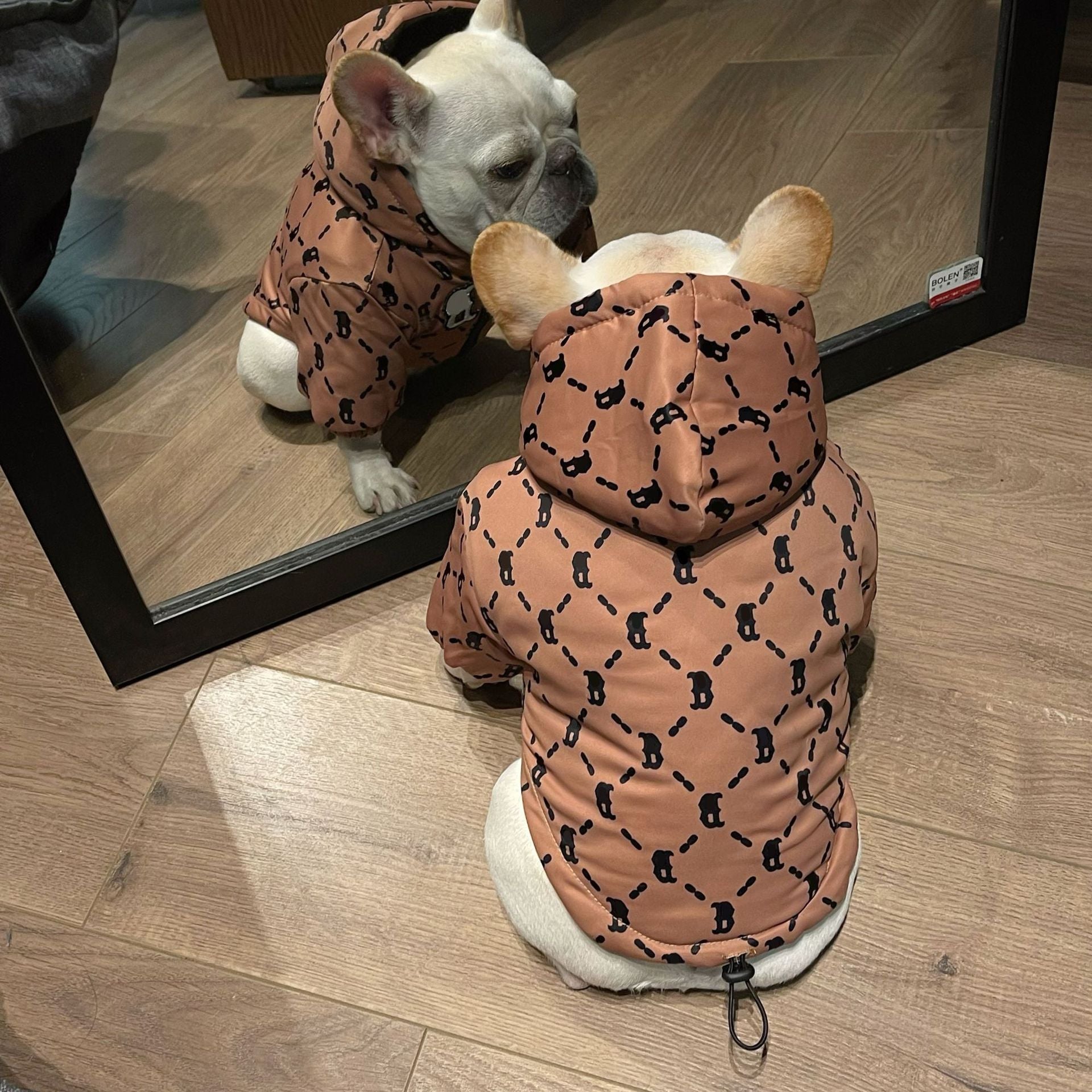 Lovely Dog Coat