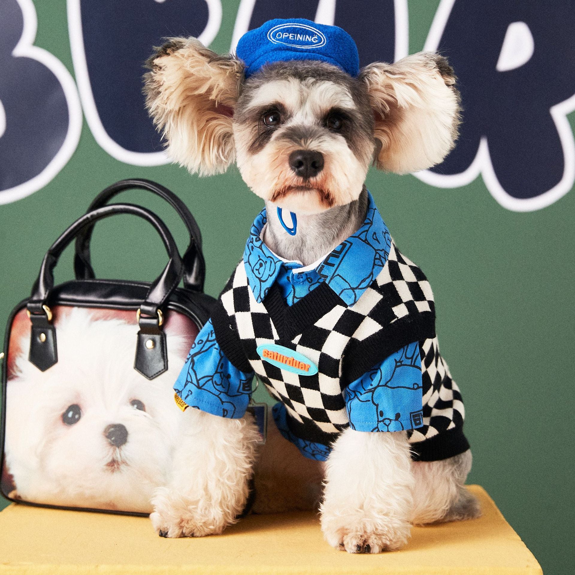 Colorful Dog Hat