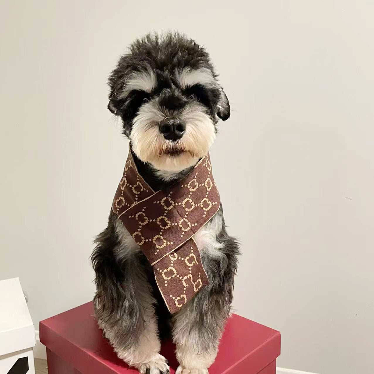 Stylish Dog Scarf