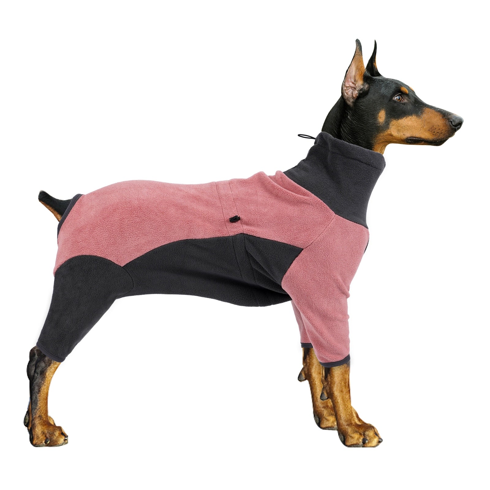 Warm Winter Dog Hoodie