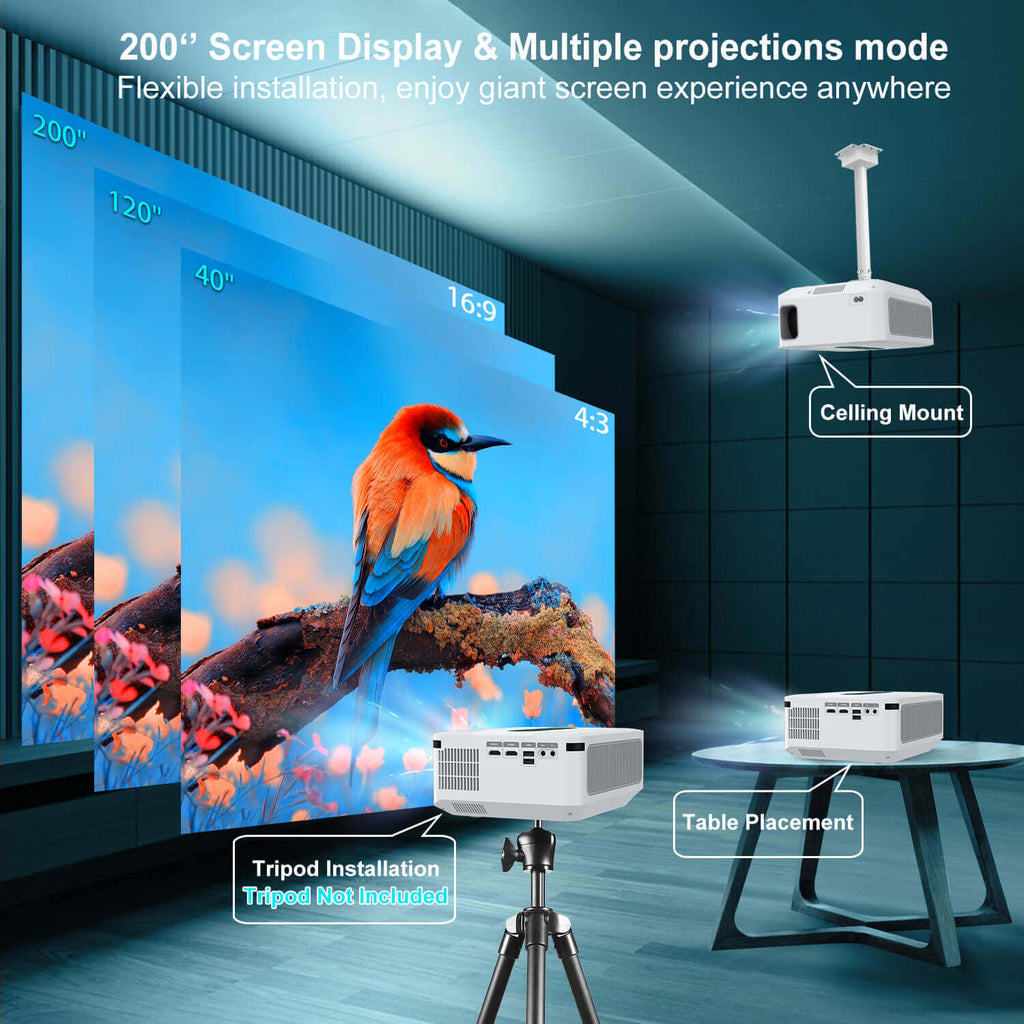 200" Screen Display, Multiple projections mode