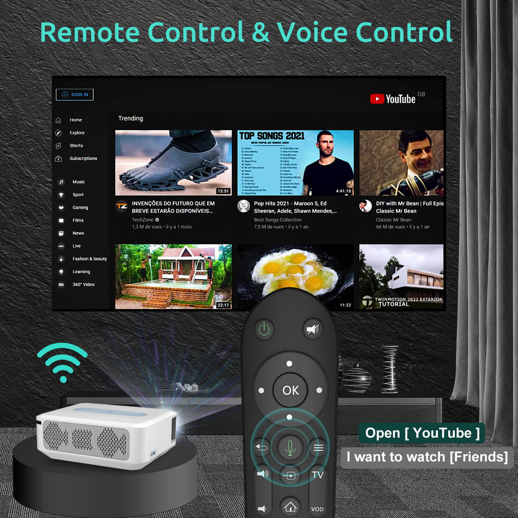 Remote Control & Voice Control