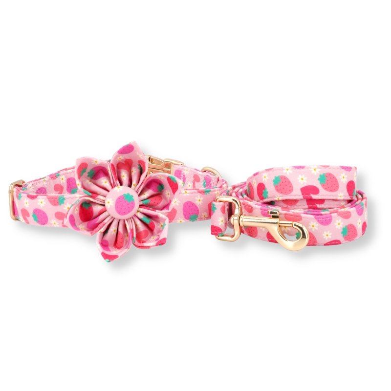 Strawberry Shortcake Flower Unbreakable Collar? & Leash Set