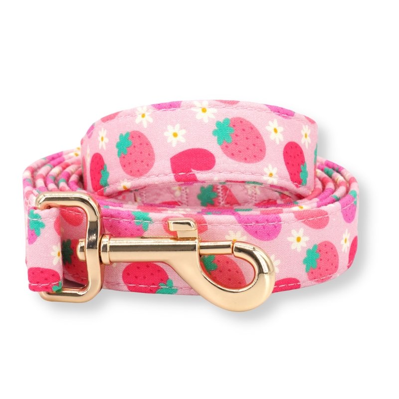 Strawberry Shortcake Unbreakable Leash?