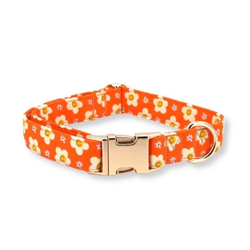 Tangerine Dreams Bow Tie Unbreakable Collar?