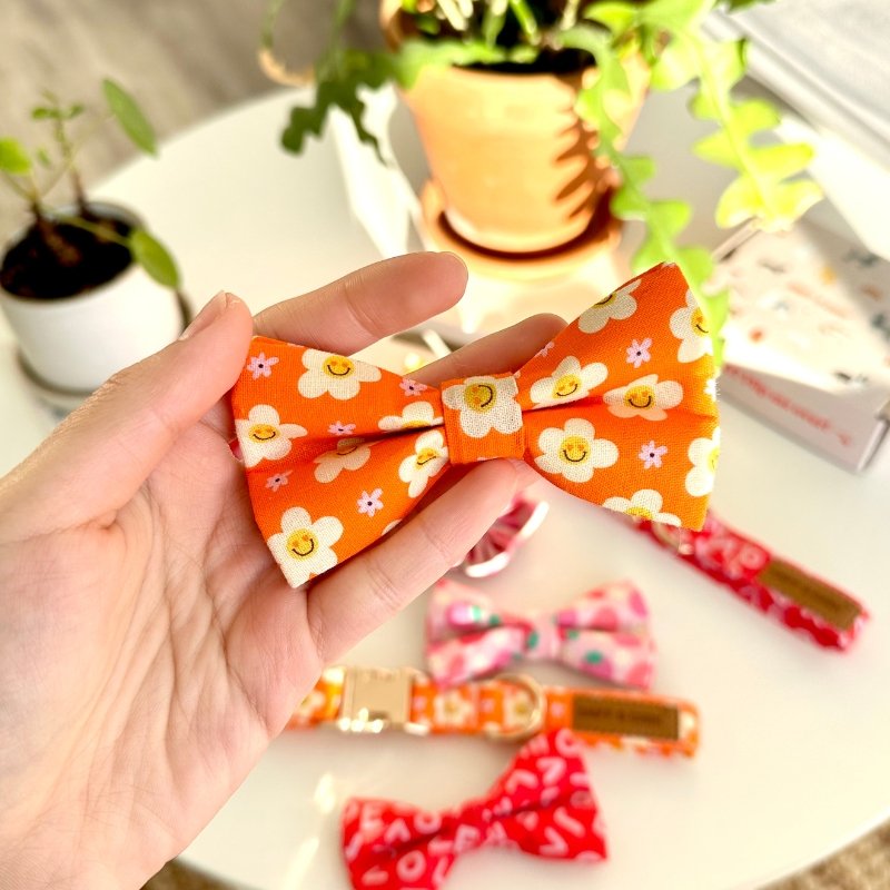 Tangerine Dreams Bow Tie Unbreakable Collar?