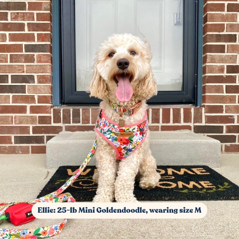 Morning Floral Lockable Harness?