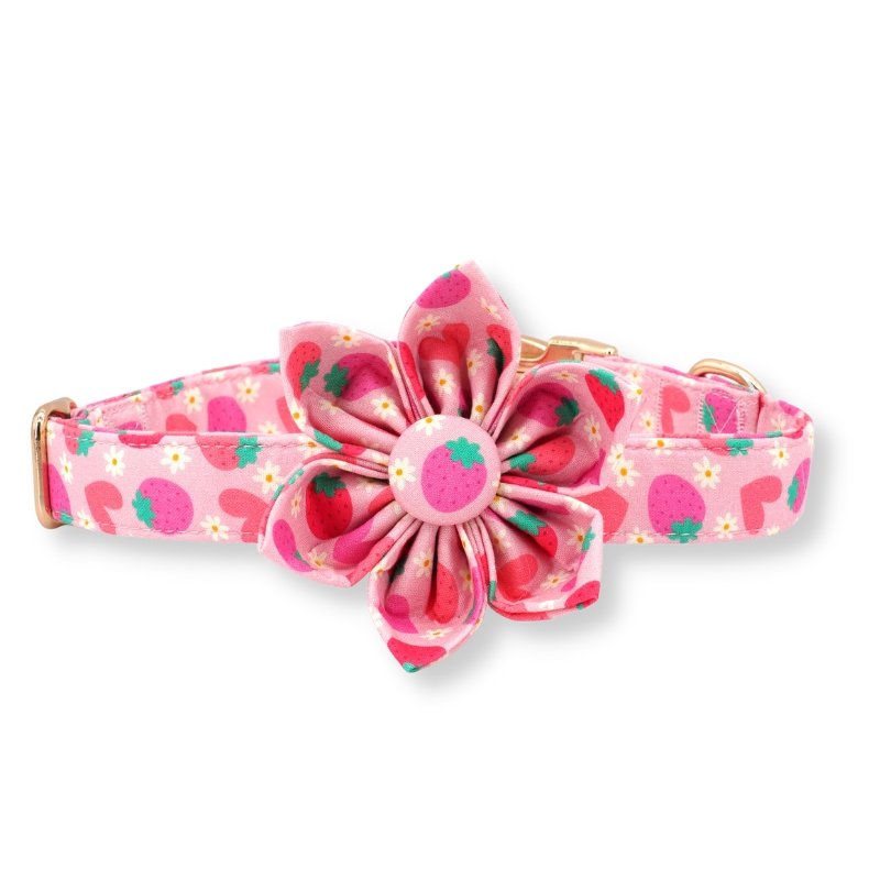 Strawberry Shortcake Flower Unbreakable Collar? & Leash Set