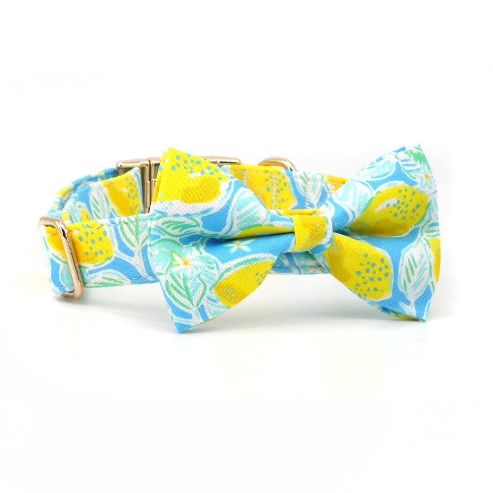 Summer Lemons Bow Tie Unbreakable Collar?
