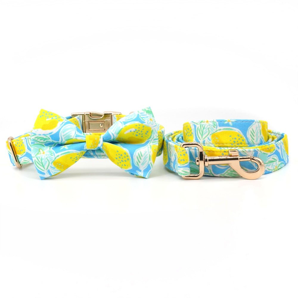 Summer Lemons Bowtie Unbreakable Collar? & Leash Set